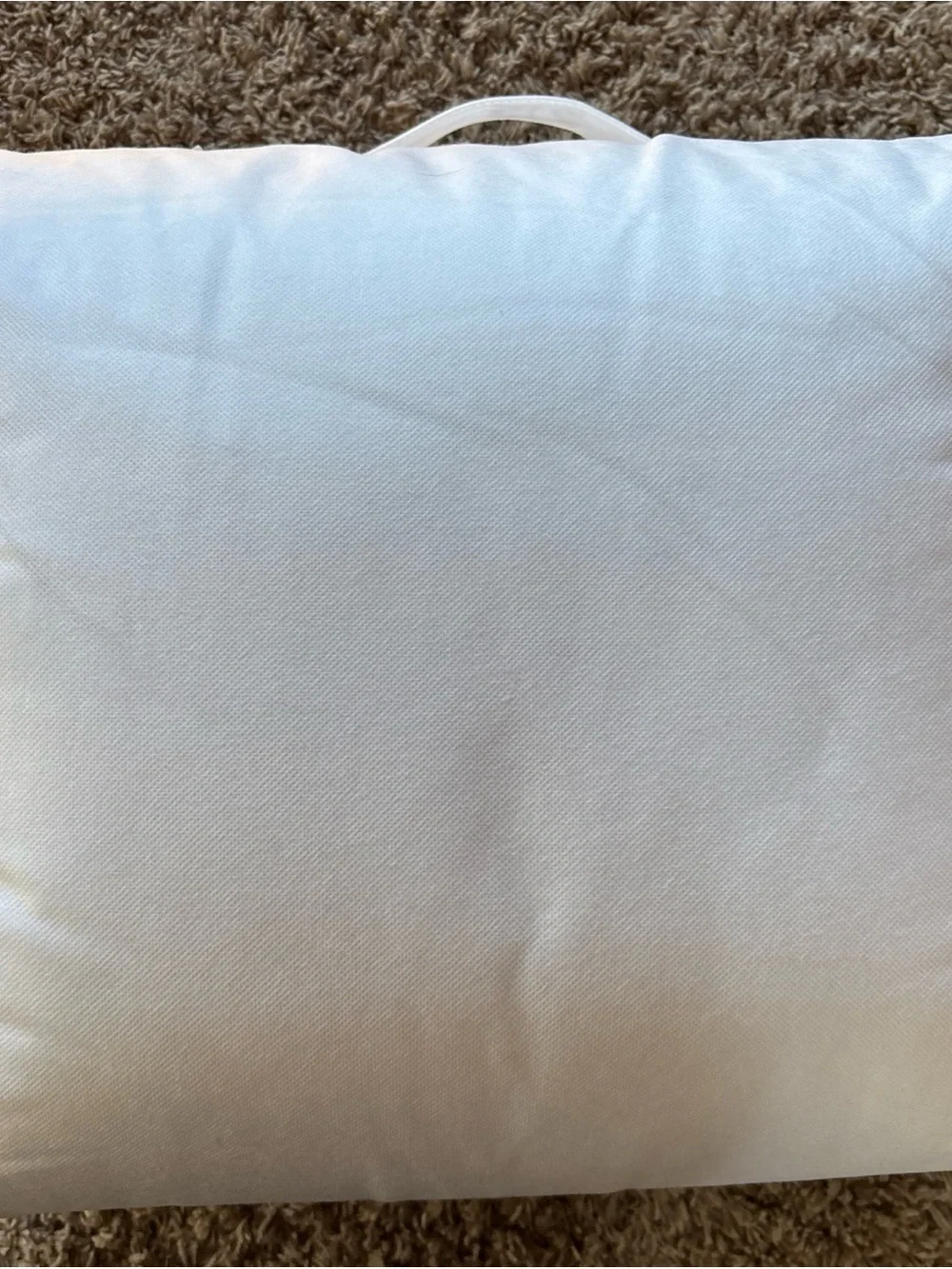 Quince Luxe Goose Down Comforter All Season Duvet Insert